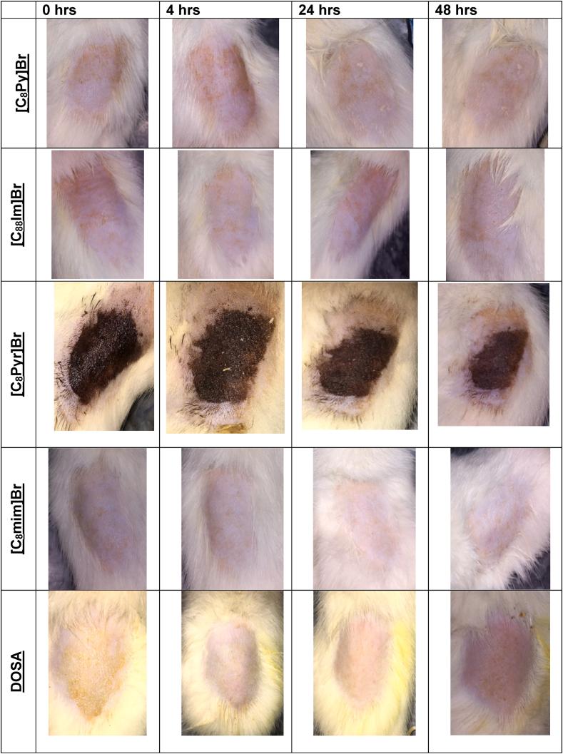 https://cdn.ncbi.nlm.nih.gov/pmc/blobs/f5f7/11616562/94f3a9128fcd/gr13.jpg