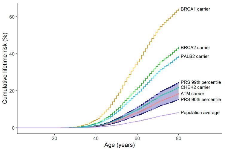 https://cdn.ncbi.nlm.nih.gov/pmc/blobs/f5fc/11987971/fd653b2dc2ed/cancers-17-01056-g002.jpg