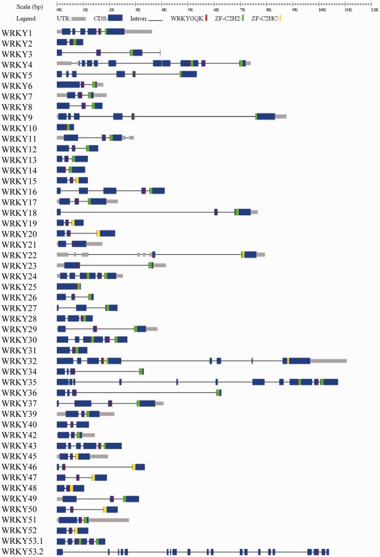 https://cdn.ncbi.nlm.nih.gov/pmc/blobs/f5ff/4991837/17b11068b1f1/dsw025f6ap.jpg