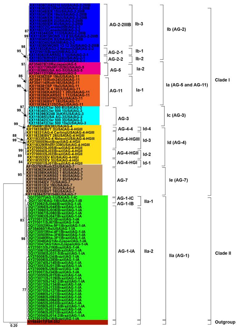 https://cdn.ncbi.nlm.nih.gov/pmc/blobs/f600/9777564/8db97d7c3784/genes-13-02417-g003.jpg