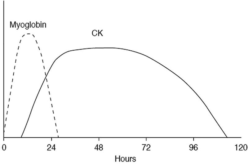 https://cdn.ncbi.nlm.nih.gov/pmc/blobs/f601/5117086/6d5e100853ba/bmjsem2016000151f02.jpg