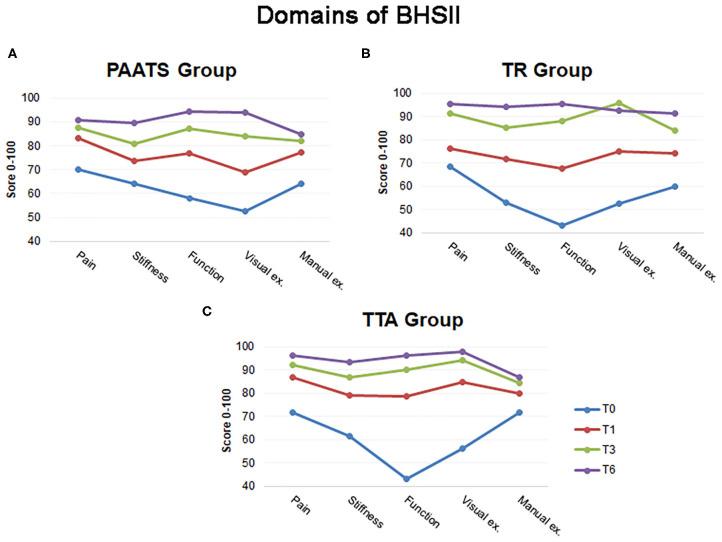 https://cdn.ncbi.nlm.nih.gov/pmc/blobs/f601/7655652/944b679ea8d3/fvets-07-567473-g0003.jpg