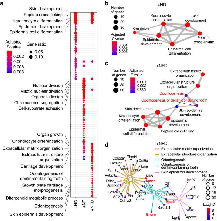 https://cdn.ncbi.nlm.nih.gov/pmc/blobs/f602/10703793/1155cad6a209/41368_2023_257_Fig7_HTML.jpg