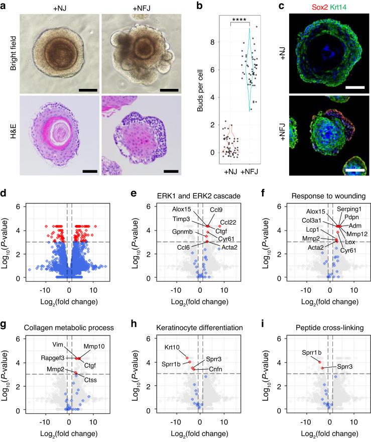 https://cdn.ncbi.nlm.nih.gov/pmc/blobs/f602/10703793/2bac9905d2dc/41368_2023_257_Fig2_HTML.jpg