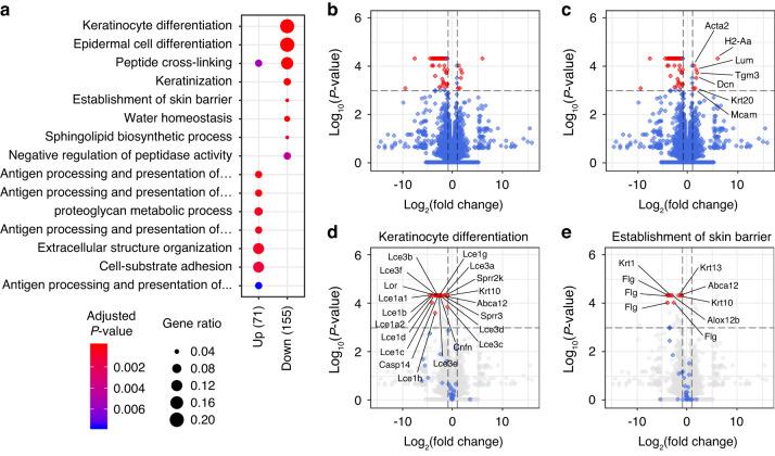 https://cdn.ncbi.nlm.nih.gov/pmc/blobs/f602/10703793/4a7badf7377d/41368_2023_257_Fig4_HTML.jpg