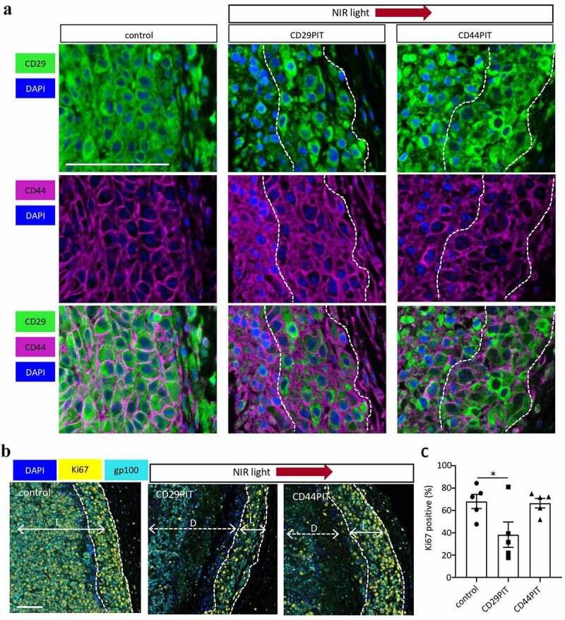 https://cdn.ncbi.nlm.nih.gov/pmc/blobs/f602/8741294/66371cbca980/KONI_A_2019922_F0004_OC.jpg