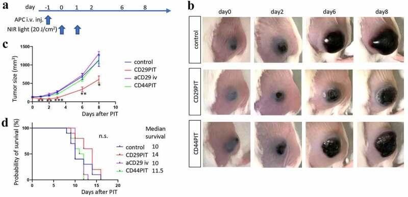 https://cdn.ncbi.nlm.nih.gov/pmc/blobs/f602/8741294/bb581e5a325d/KONI_A_2019922_F0003_OC.jpg