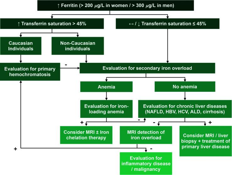 https://cdn.ncbi.nlm.nih.gov/pmc/blobs/f603/10318281/c4cb07c44404/JCTH-11-932-g002.jpg