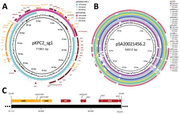 https://cdn.ncbi.nlm.nih.gov/pmc/blobs/f604/9328930/04fc6640453c/21-2542-F4.jpg