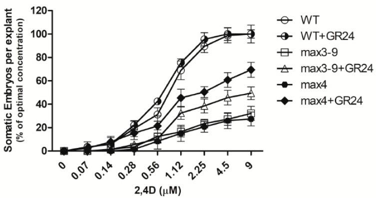 https://cdn.ncbi.nlm.nih.gov/pmc/blobs/f606/8704308/90017b291259/plants-10-02720-g006.jpg