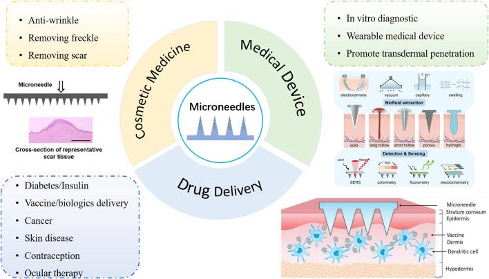https://cdn.ncbi.nlm.nih.gov/pmc/blobs/f608/10987780/3674cfd09587/jpps-27-12434-g001.jpg
