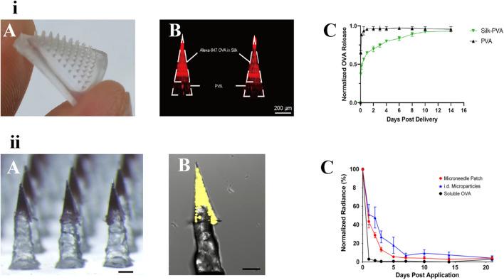 https://cdn.ncbi.nlm.nih.gov/pmc/blobs/f608/10987780/3d55b352c298/jpps-27-12434-g005.jpg