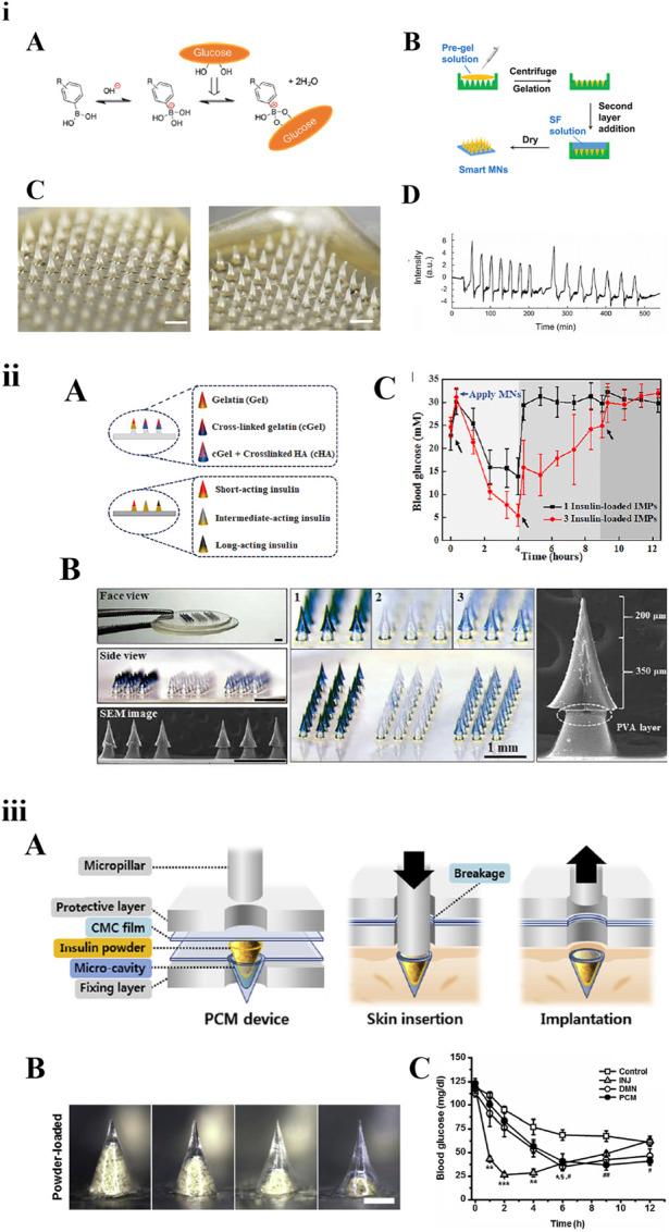 https://cdn.ncbi.nlm.nih.gov/pmc/blobs/f608/10987780/8bd9e1bca792/jpps-27-12434-g004.jpg