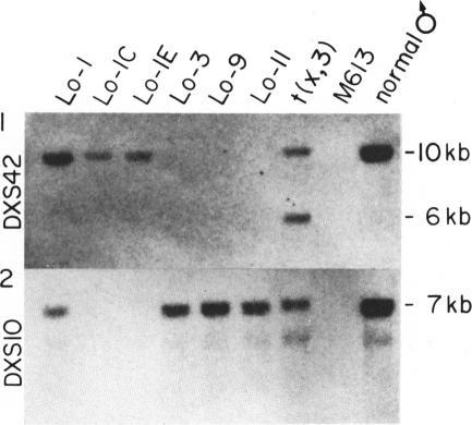 https://cdn.ncbi.nlm.nih.gov/pmc/blobs/f608/1715172/3c134cd1b1ca/ajhg00128-0106-a.jpg