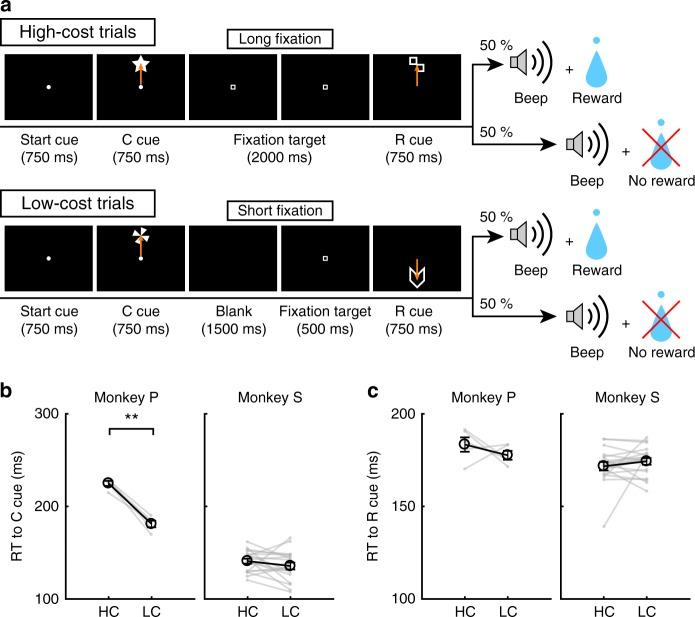 https://cdn.ncbi.nlm.nih.gov/pmc/blobs/f609/6695452/a9eda33aab48/41467_2019_11334_Fig5_HTML.jpg