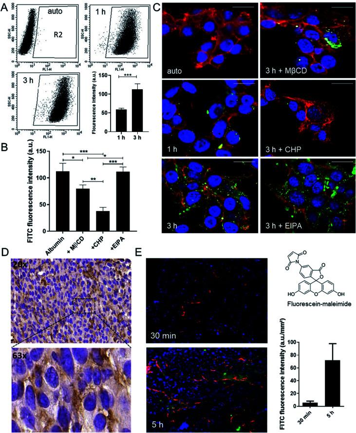 https://cdn.ncbi.nlm.nih.gov/pmc/blobs/f60c/8494022/9c35906dc8f5/d1sc03311e-f1.jpg