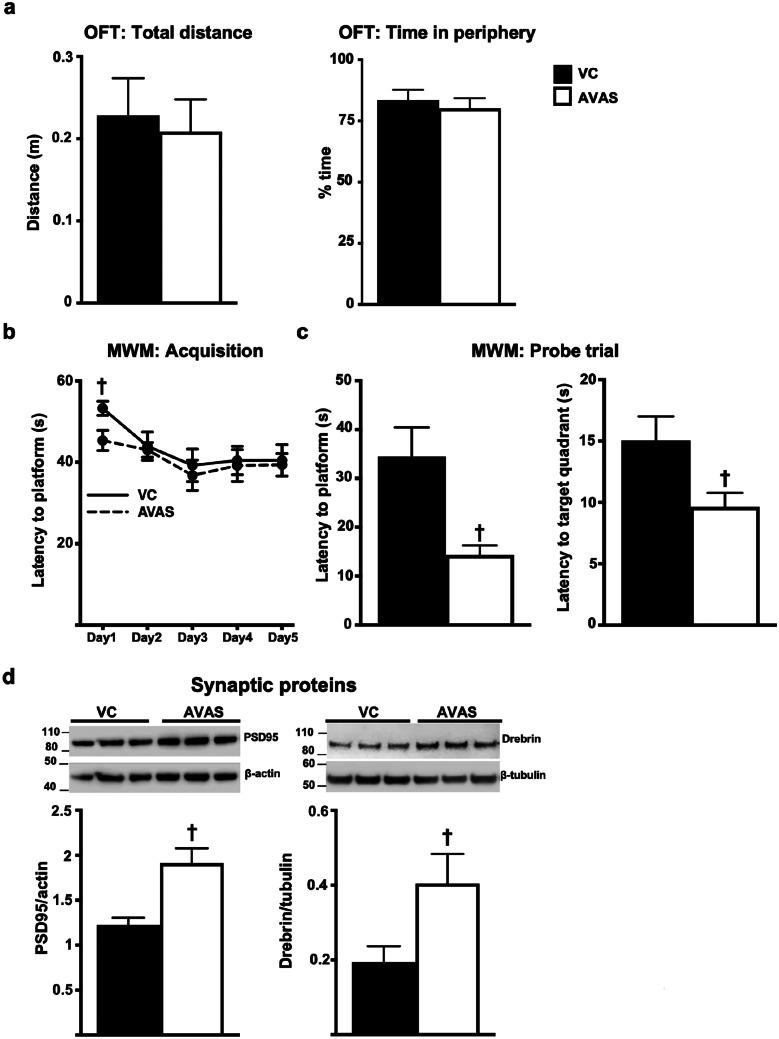 https://cdn.ncbi.nlm.nih.gov/pmc/blobs/f613/10457278/0ba235359fe6/13311_2023_1375_Fig3_HTML.jpg