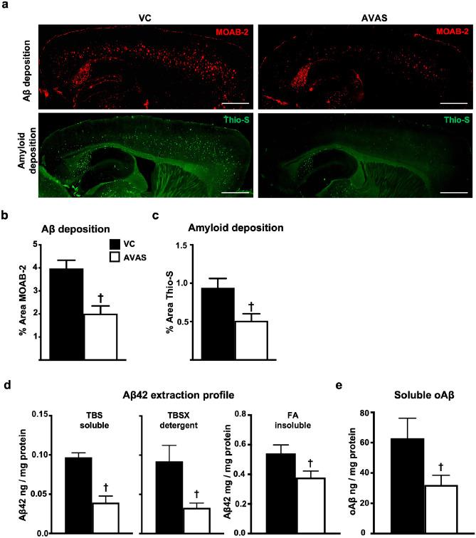 https://cdn.ncbi.nlm.nih.gov/pmc/blobs/f613/10457278/39792aac6ac7/13311_2023_1375_Fig5_HTML.jpg