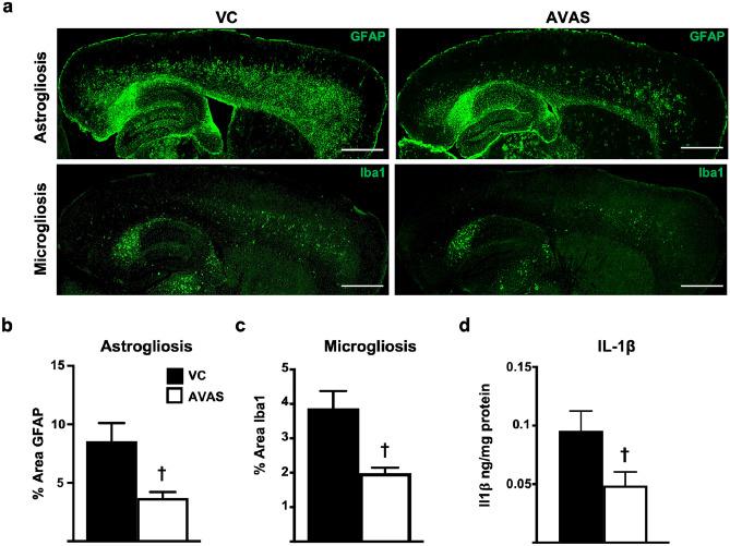 https://cdn.ncbi.nlm.nih.gov/pmc/blobs/f613/10457278/a34c1c779db9/13311_2023_1375_Fig6_HTML.jpg
