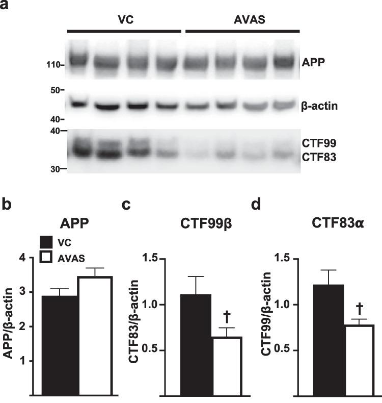 https://cdn.ncbi.nlm.nih.gov/pmc/blobs/f613/10457278/c1d141330280/13311_2023_1375_Fig8_HTML.jpg