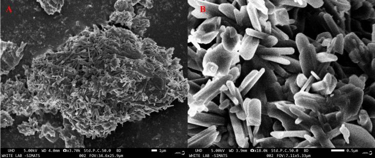 https://cdn.ncbi.nlm.nih.gov/pmc/blobs/f614/11323196/e4ee3ac9d6cb/cureus-0016-00000064558-i02.jpg