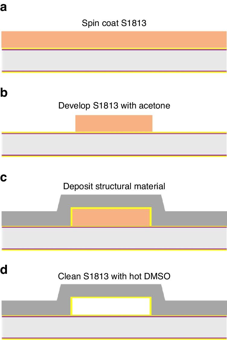 https://cdn.ncbi.nlm.nih.gov/pmc/blobs/f614/11347674/fabe66bf9936/41378_2024_732_Fig8_HTML.jpg