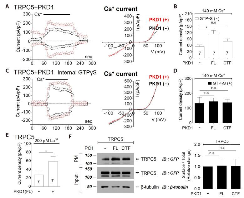 https://cdn.ncbi.nlm.nih.gov/pmc/blobs/f615/11694000/79d58ee678a3/kjpp-29-1-93-f5.jpg