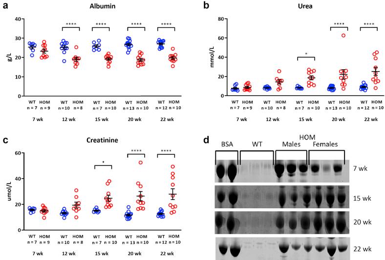 https://cdn.ncbi.nlm.nih.gov/pmc/blobs/f616/8883398/6e18d37d9634/gr3.jpg