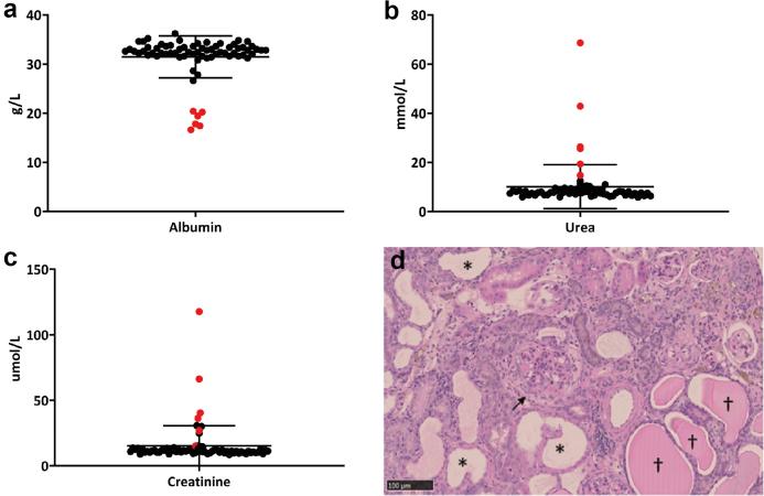 https://cdn.ncbi.nlm.nih.gov/pmc/blobs/f616/8883398/b095213d10e7/gr1.jpg