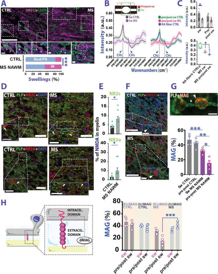 https://cdn.ncbi.nlm.nih.gov/pmc/blobs/f617/8048993/a8b903b47550/ANA-89-711-g003.jpg