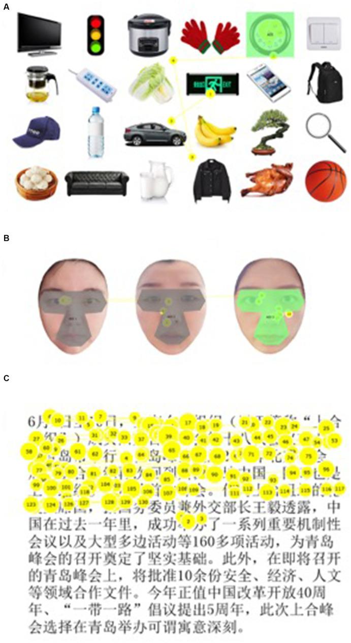 https://cdn.ncbi.nlm.nih.gov/pmc/blobs/f619/10764626/2b5eac8a0106/fnins-17-1207853-g001.jpg