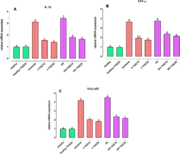 https://cdn.ncbi.nlm.nih.gov/pmc/blobs/f61b/10598820/9d9fb0b8319d/IJBMS-26-1370-g004.jpg