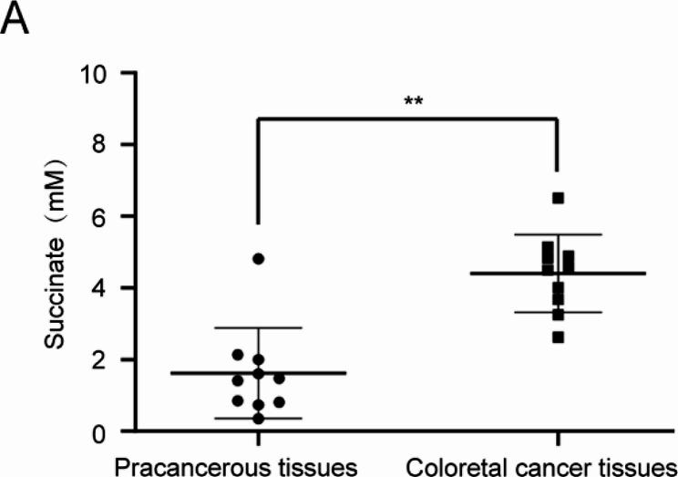 https://cdn.ncbi.nlm.nih.gov/pmc/blobs/f61b/10938789/322ffe08031b/12876_2024_3195_Fig1_HTML.jpg