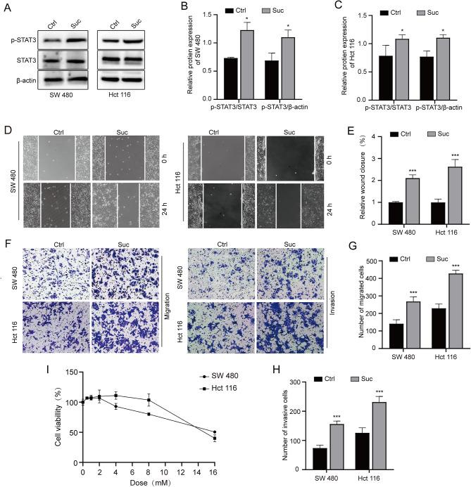 https://cdn.ncbi.nlm.nih.gov/pmc/blobs/f61b/10938789/6812bccc79e6/12876_2024_3195_Fig2_HTML.jpg