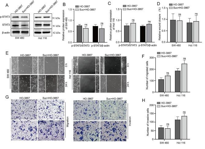 https://cdn.ncbi.nlm.nih.gov/pmc/blobs/f61b/10938789/ccffe0a50c65/12876_2024_3195_Fig3_HTML.jpg