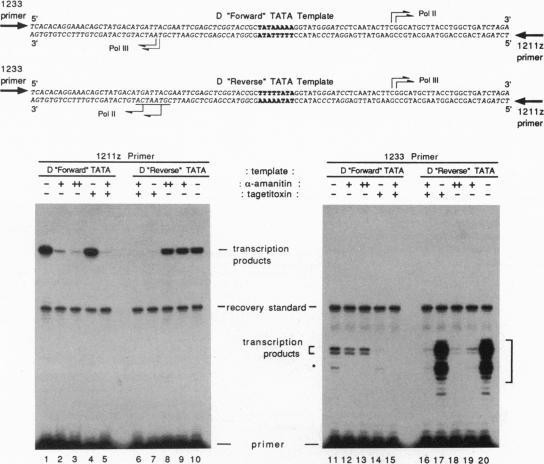 https://cdn.ncbi.nlm.nih.gov/pmc/blobs/f61c/41015/0c8b19f7a6d1/pnas01497-0084-a.jpg