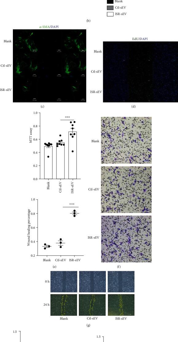 https://cdn.ncbi.nlm.nih.gov/pmc/blobs/f61c/8084657/47d245ddc7c2/OMCL2021-6644970.002.jpg
