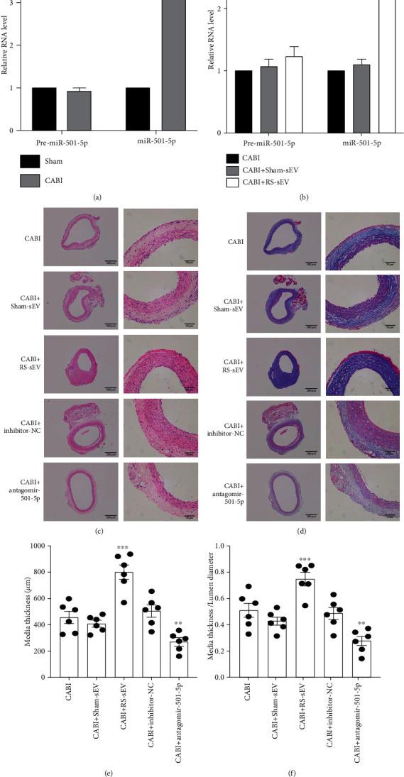 https://cdn.ncbi.nlm.nih.gov/pmc/blobs/f61c/8084657/fa7cdc3d17ce/OMCL2021-6644970.005.jpg