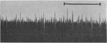 https://cdn.ncbi.nlm.nih.gov/pmc/blobs/f61d/1394687/73c2627f4fdc/jphysiol01588-0071-b.jpg
