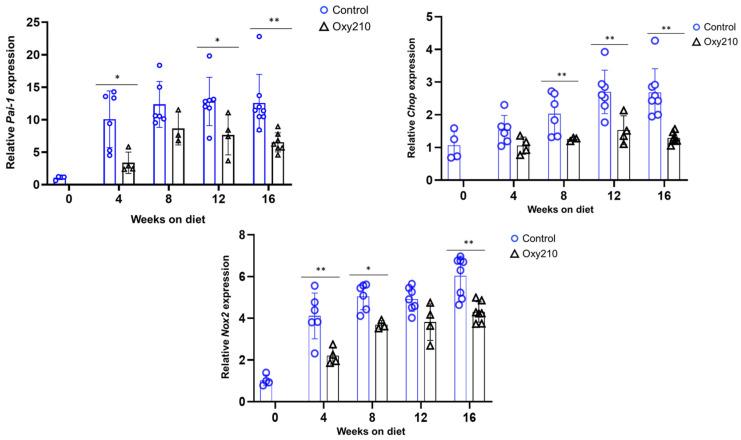 https://cdn.ncbi.nlm.nih.gov/pmc/blobs/f61e/12346697/91a8ee205563/cells-14-01191-g002.jpg
