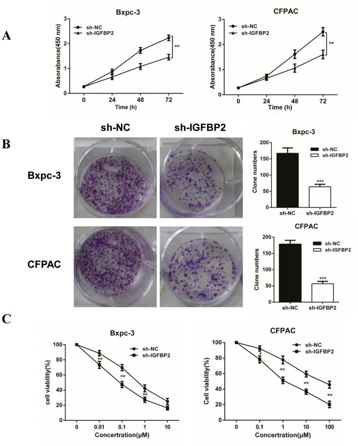 https://cdn.ncbi.nlm.nih.gov/pmc/blobs/f61e/5617455/579df466f21a/oncotarget-08-61674-g005.jpg