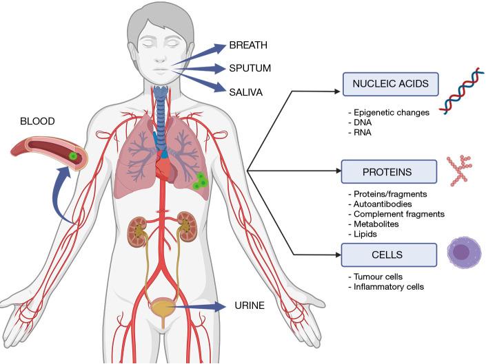 https://cdn.ncbi.nlm.nih.gov/pmc/blobs/f623/10654441/35981f58363d/tlcr-12-10-2129-f1.jpg