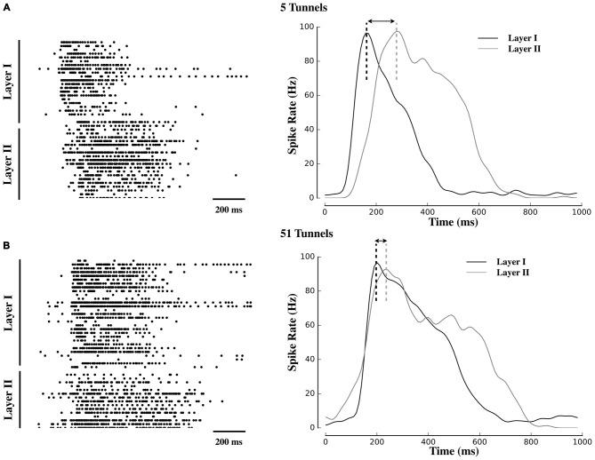 https://cdn.ncbi.nlm.nih.gov/pmc/blobs/f624/4840215/663c2195e639/fncir-10-00032-g0002.jpg