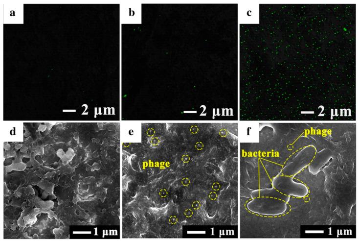 https://cdn.ncbi.nlm.nih.gov/pmc/blobs/f627/12294051/0f09c1604c85/biosensors-15-00467-g008.jpg