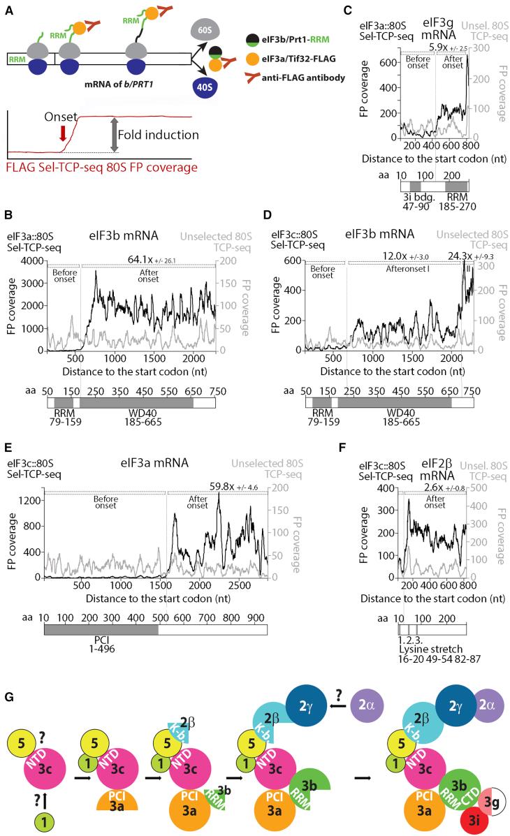 https://cdn.ncbi.nlm.nih.gov/pmc/blobs/f627/7447980/cdf916ac534c/gr7.jpg