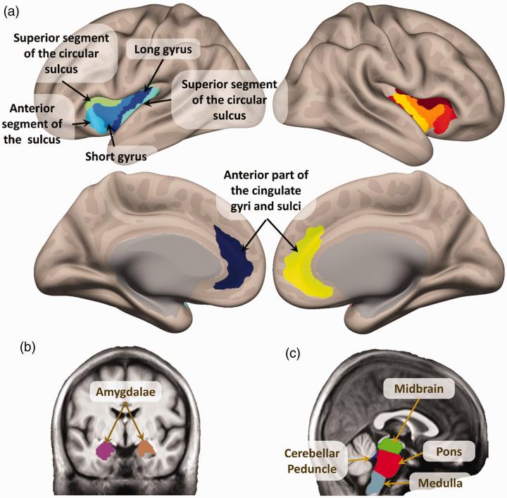 https://cdn.ncbi.nlm.nih.gov/pmc/blobs/f627/8267022/1ab8b18f5335/10.1177_24705470211030273-fig1.jpg