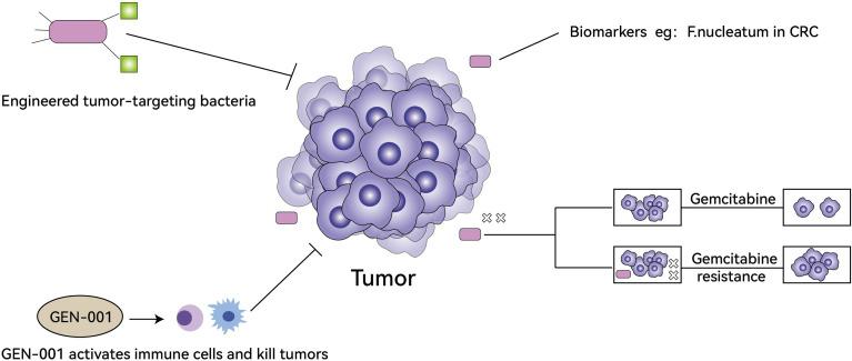 https://cdn.ncbi.nlm.nih.gov/pmc/blobs/f627/9334697/fa859788925f/fimmu-13-935846-g002.jpg