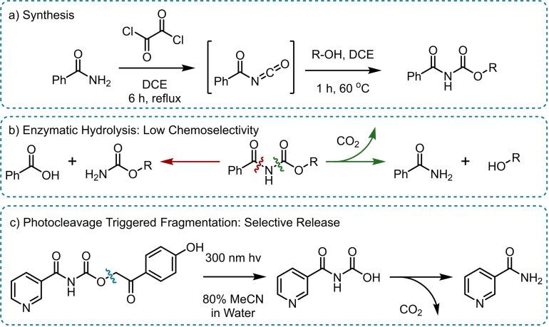 https://cdn.ncbi.nlm.nih.gov/pmc/blobs/f629/11914939/025609b0fc67/CHEM-31-e202404413-g003.jpg