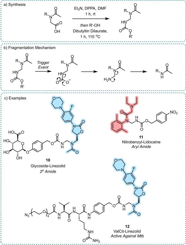 https://cdn.ncbi.nlm.nih.gov/pmc/blobs/f629/11914939/2b97637bf2cb/CHEM-31-e202404413-g010.jpg