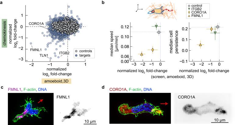 https://cdn.ncbi.nlm.nih.gov/pmc/blobs/f62d/10507112/fc6fd5374059/41467_2023_41452_Fig6_HTML.jpg